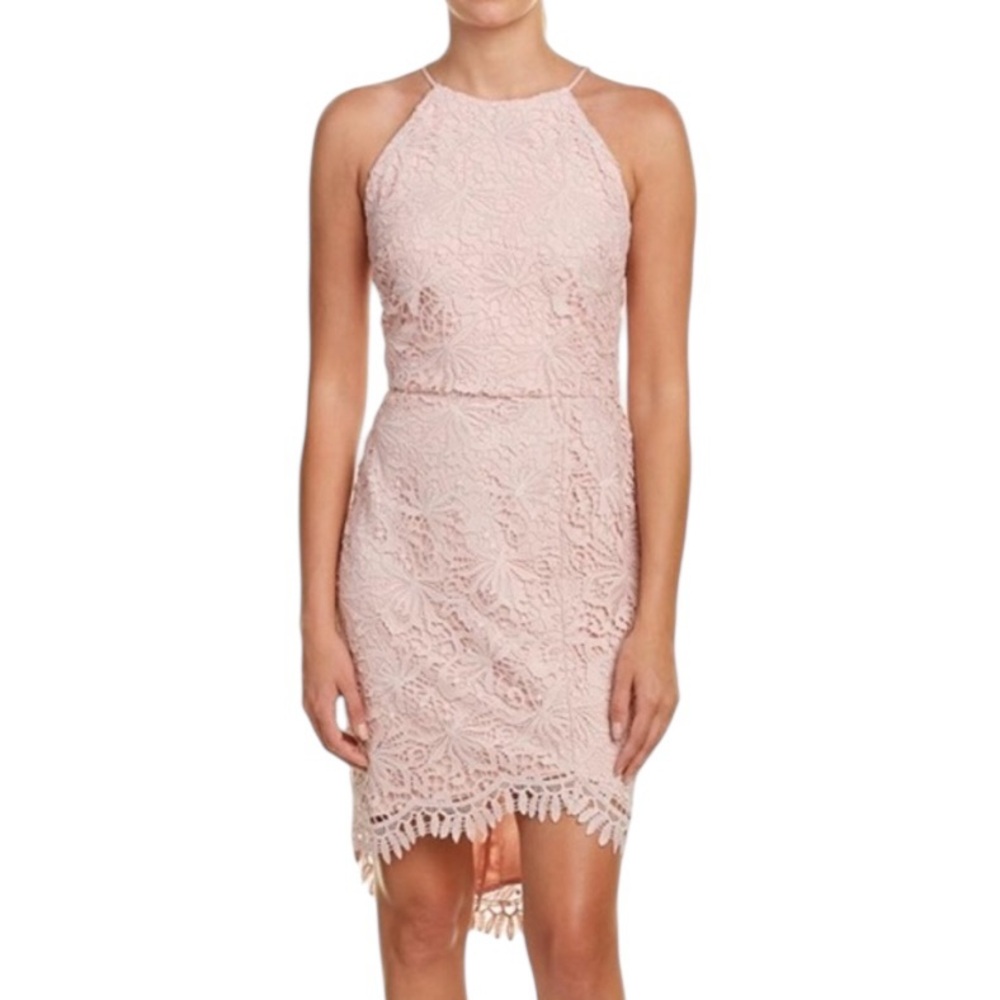 NWT Adelyn Rae Louise Pink Lace Halter Fishtail Hem Sheath Dress - M